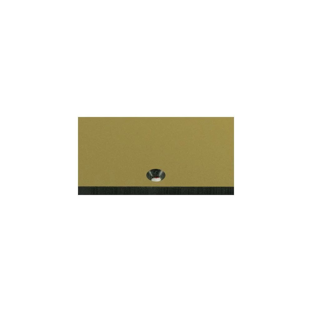Gibson 2010 Music City Les Paul Jr - Brushed Gold - Image 2
