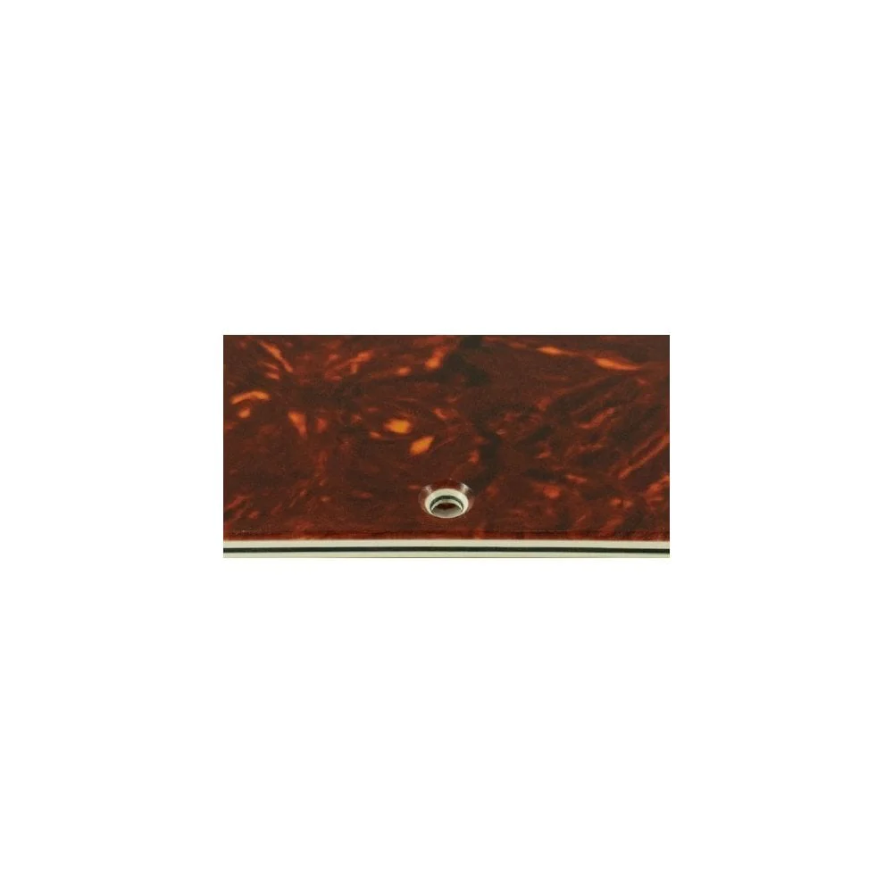 Jazz Bass Mexican Standard - Brown Tortoiseshell/Parchment 4 Ply Celluloid - Image 2