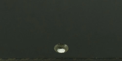 SG Special - Bakelite - Image 6