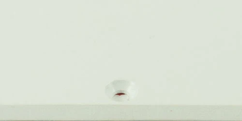 Old Style 11 Hole Strat - White - Image 2